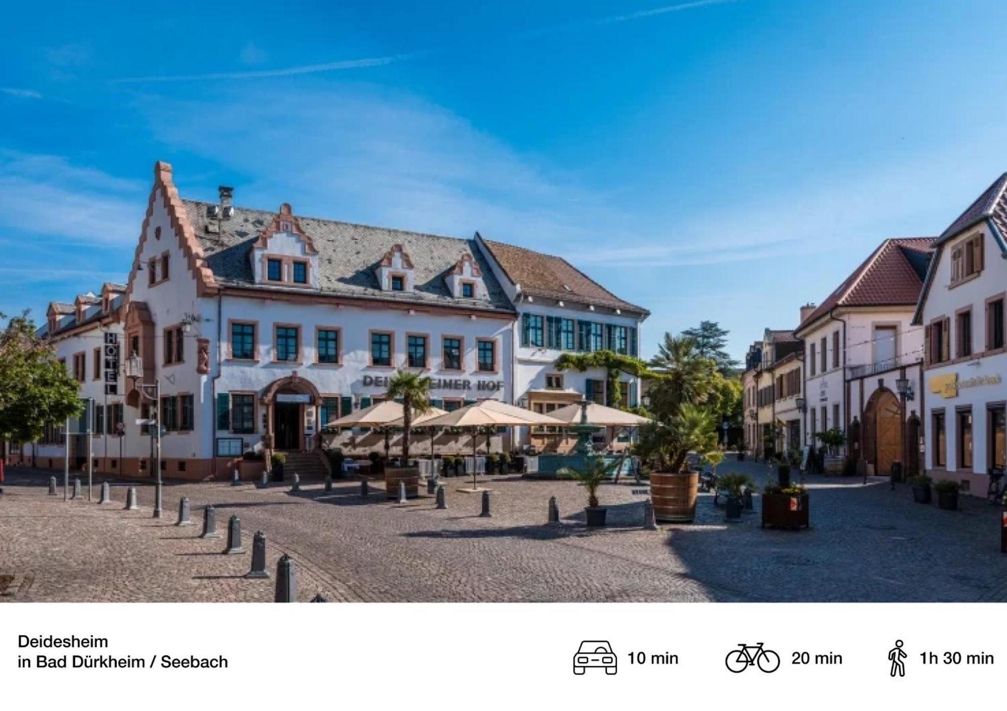 Privates Ferienhaus Mit Pool & Whirlpool Zentral In Bad Dürkheim Eksteriør billede