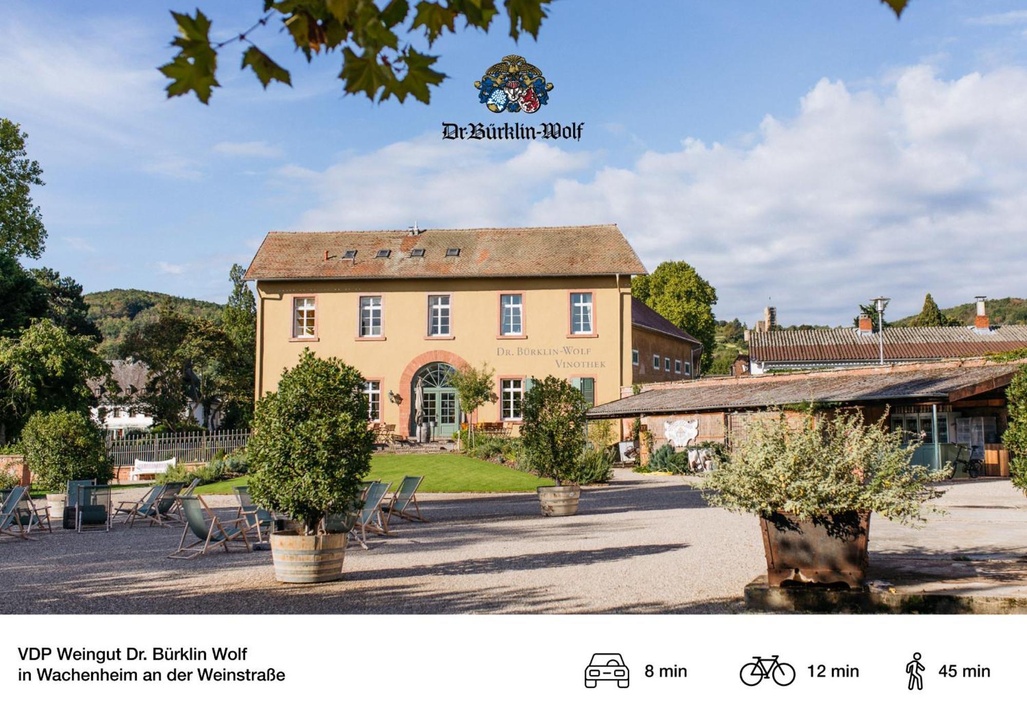 Privates Ferienhaus Mit Pool & Whirlpool Zentral In Bad Dürkheim Eksteriør billede